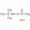O-乙?；?N-叔丁基羥胺鹽酸鹽>98%
