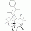 10-脫乙?；涂ǘ?III CAS 32981-86-5